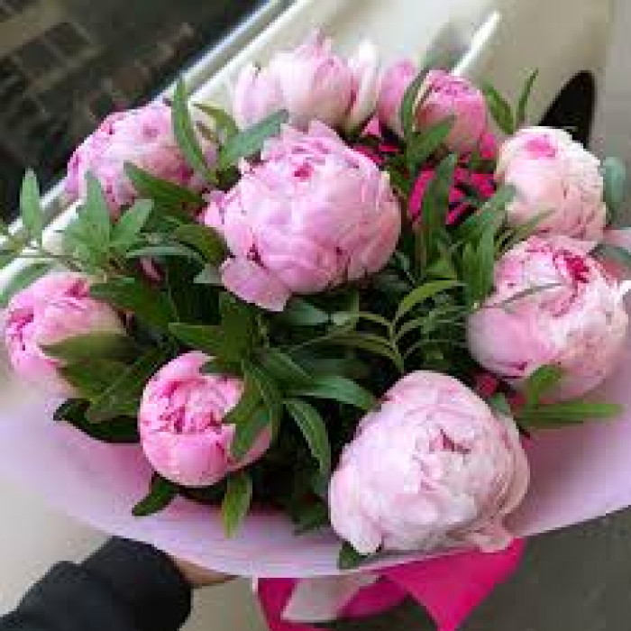 Пион древовидный в Сарыагаше