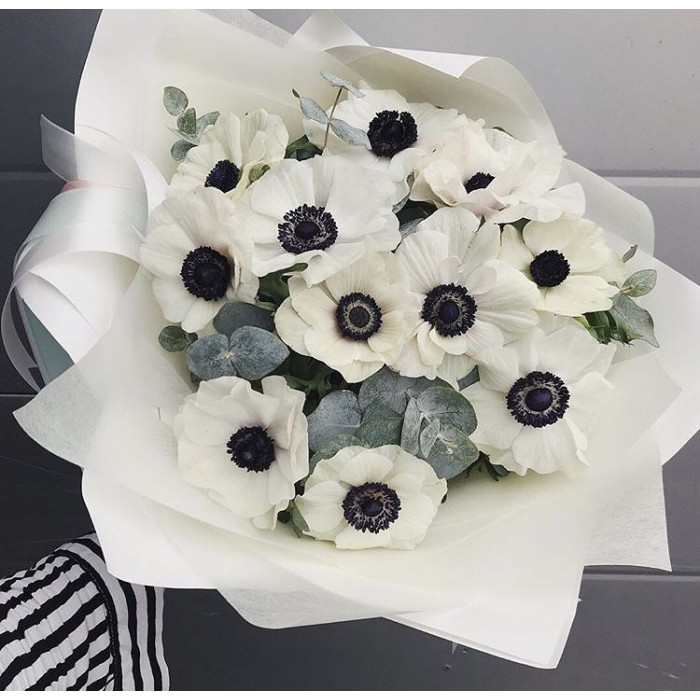 Анемоны в Сарыагаше