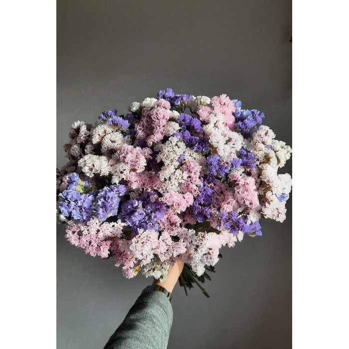 Статица (Лимониум) в Сарыагаше