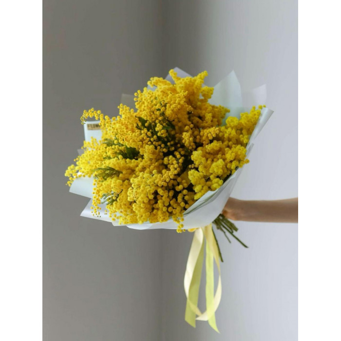 Мимоза в Сарыагаше