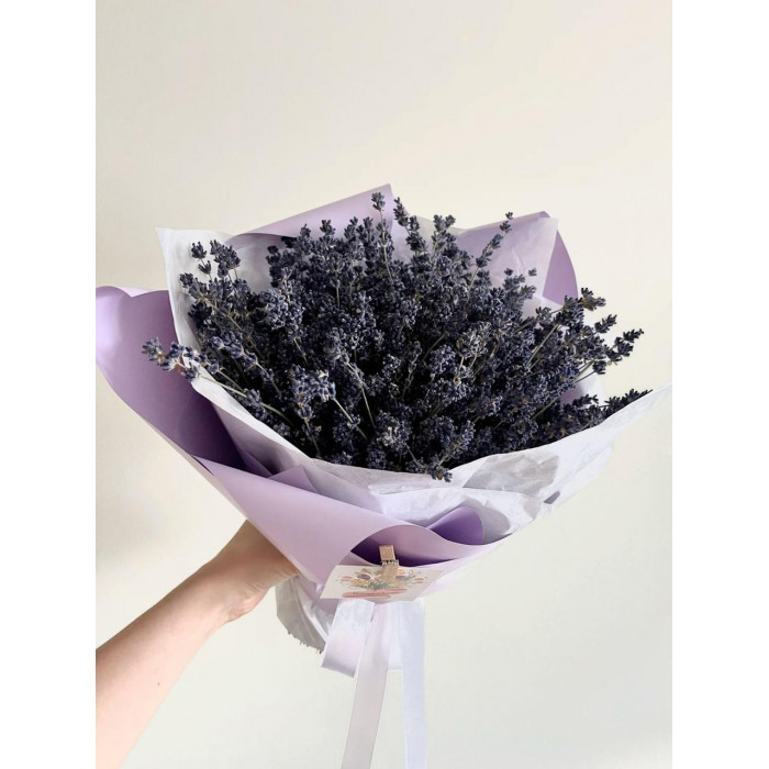 Лаванда в Сарыагаше