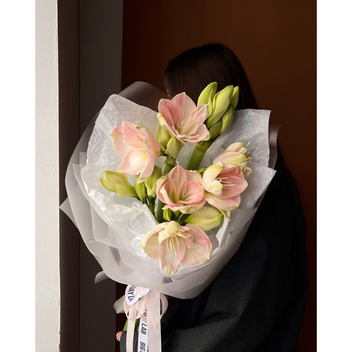 Амариллис в Сарыагаше