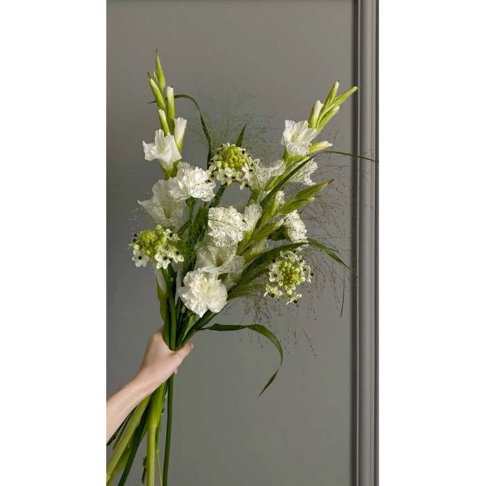 Орнитогалум в Сарыагаше