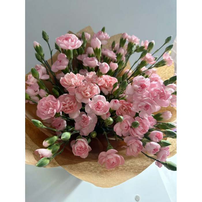 Кустовые гвоздики в Сарыагаше