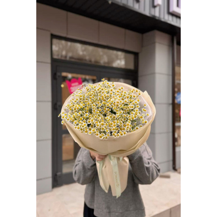 Танацетум в Сарыагаше